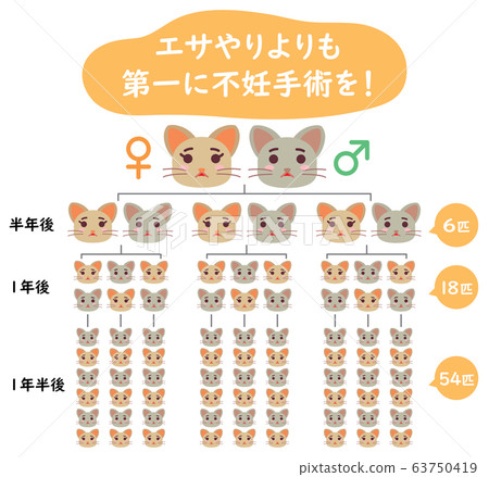 局部貓TNR的解釋性說明：不孕手術而非餵養 63750419