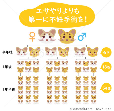Explanation illustration of local cat TNR sterilization operation from feeding 63750432