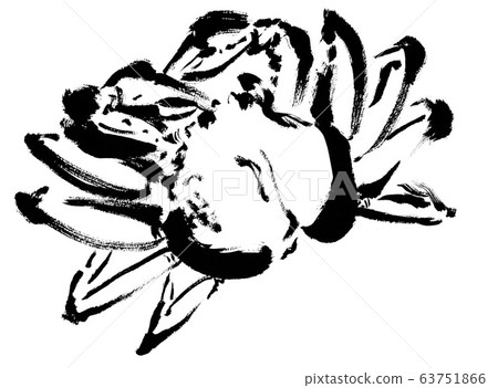 畫線,黑白,單色,單色,雪蟹,蟹,蟹,蟹,松蟹,松針蟹, 畫線,黑白,單色,單色,雪蟹,蟹,蟹,蟹,松蟹,松針蟹, 63751866