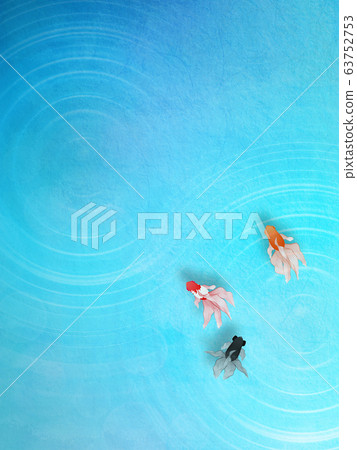 游泳金魚 63752753