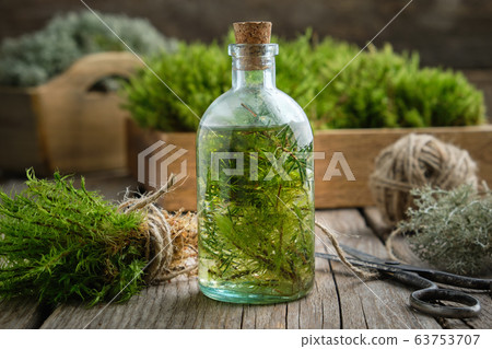 Healthy tincture of moss, lichen and juniper. 63753707