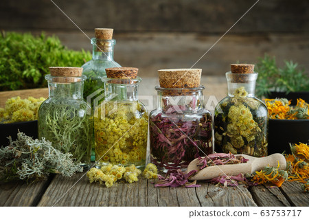 Bottles of tincture and medicinal herbs 63753717
