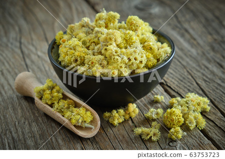Helichrysum arenarium flowers, immortelle in bowl. 63753723