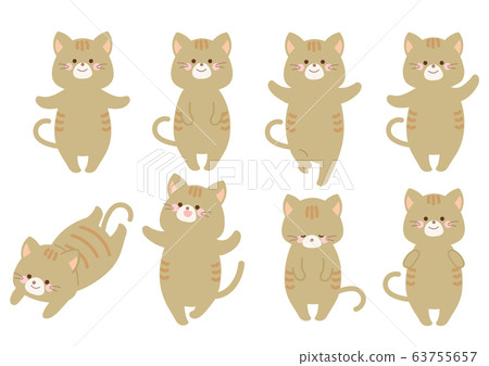 Cat illustration pose variation set Cat illustration pose variation set 63755657
