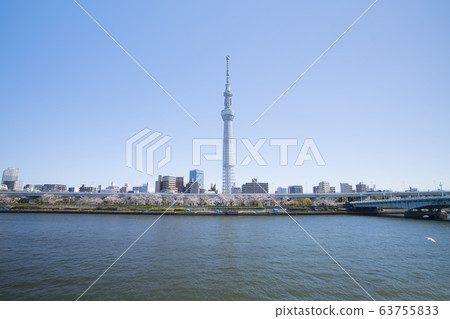 Tokyo cherry blossoms in full bloom Tokyo Sky Tree and Sumida River Spring 2020 Tokyo cherry blossoms in full bloom Tokyo Sky Tree and Sumida River Spring 2020 63755833
