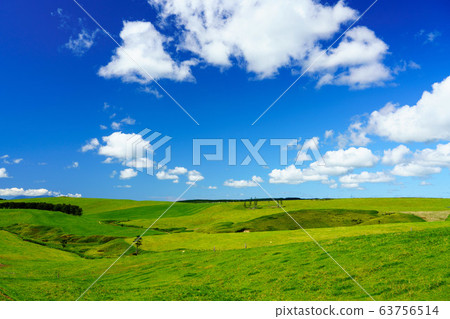 A landscape of a ranch A landscape of a ranch 63756514
