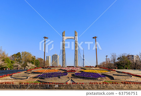 東京春天的木場公園大橋和東京晴空塔 63756751