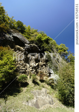 Bugs of Takaike 63758531