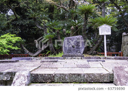 (Shizuoka Prefecture) Kunoyama Toshogu Five-storied Pagoda (Shizuoka Prefecture) Kunoyama Toshogu Five-storied Pagoda 63759890