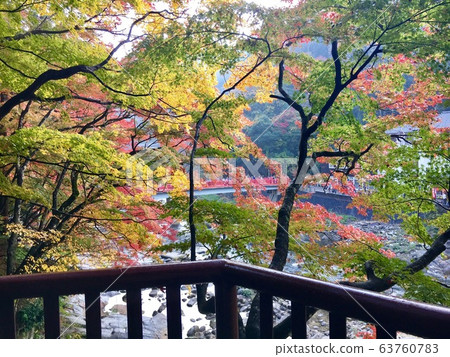 秋葉美麗的紅色黃色風景 63760783