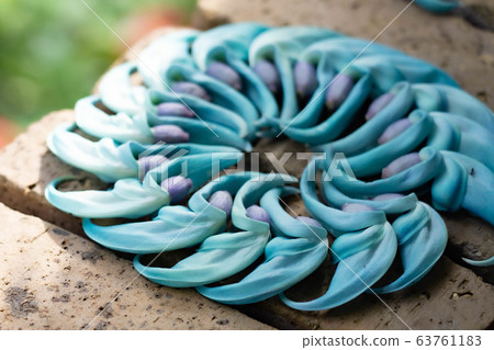 Jade flower petals art Jade flower petals art 63761183
