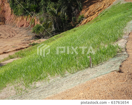 The grass is planted to prevent erosion of the soil slope. It is grown using a method of spraying grass seed onto a layer of moist geotextile material that has been pre-installed in the slope. 63761654
