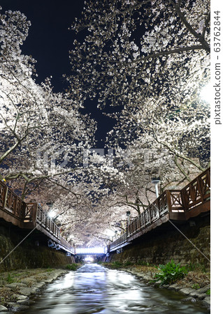 慶尚南道昌原市鎮海市延州川市 63762844