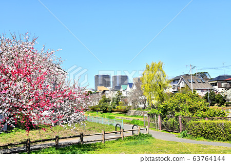 图库照片: 武藏野公园/小金井新桥附近的武藏小金井站的景色[2020.