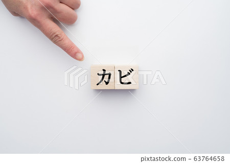 影像模具 63764658