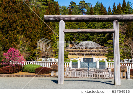 春季武藏墓公墓多摩五棱 63764916