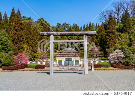 春季武藏墓公墓多摩五棱 63764917