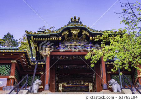 （靜岡縣）國山東照宮Karamon 63765194