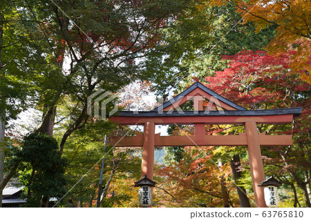 Hiyoshi Taisha 63765810