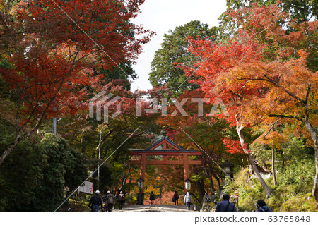 Hiyoshi Taisha Hiyoshi Taisha 63765848