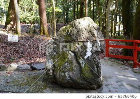 大正沙瑞娃 63766406