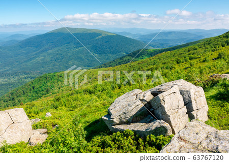 beautiful summer landscape in mountains. green 63767120