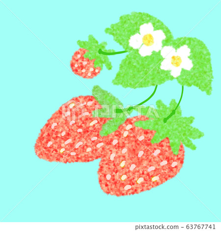 Illustration of strawberries with a soft touch (light blue background) 63767741