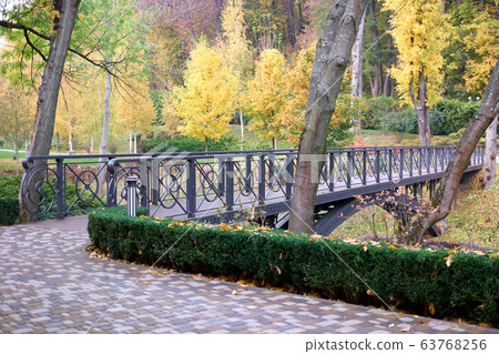 Iron bridge in a forest. Iron bridge in a forest. 63768256
