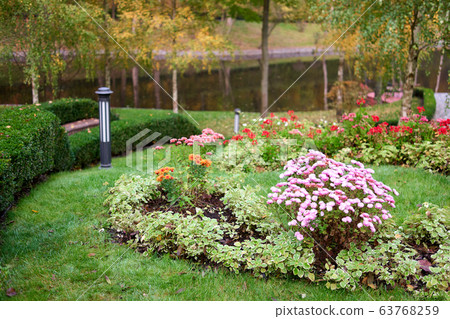 Garden of different colorful flowers near the park pond. 63768259