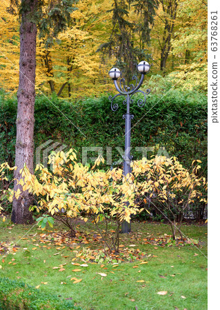 Pole lamp in a park lawn. Pole lamp in a park lawn. 63768261