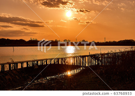 Sunset in Tatara Numa [Tatebayashi City, Gunma Prefecture] 63768933