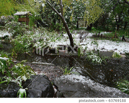 在白雪皚皚的海濱長廊上的池塘 在白雪皚皚的海濱長廊上的池塘 63769188