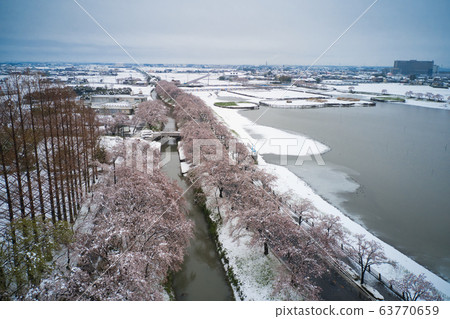 Beautiful full bloom cherry blossoms of Isa-numa in an unusual snow scene Kawagoe-shi, Saitama (aerial photograph by drone) Beautiful full bloom cherry blossoms of Isa-numa in an unusual snow scene Kawagoe-shi, Saitama (aerial photograph by drone) 63770659