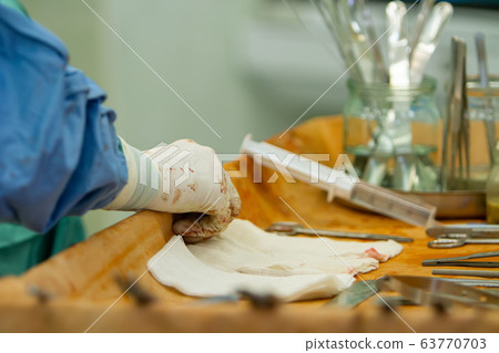 close-up of the assistant surgeon's hand. 63770703