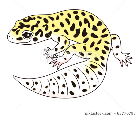 Leopard gecko character illustration 63770793