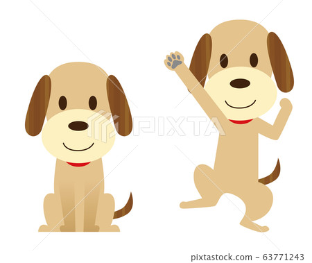 狗寵物坐跳躍膽量姿勢 63771243