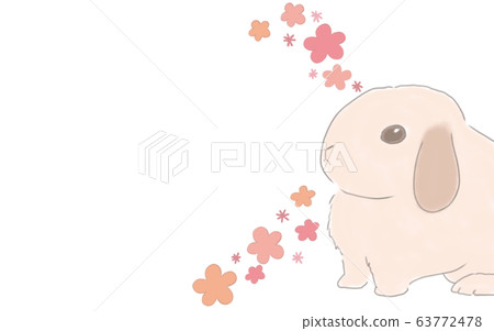 有粉紅色花朵的兔子框架 63772478