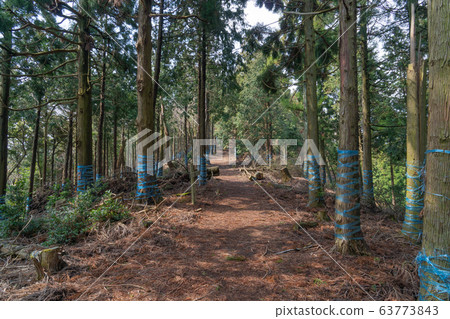 靜嶽山步道 靜嶽山步道 63773843