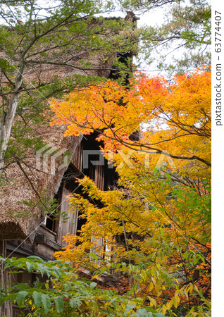 The Village of Shirakawa, a world heritage site, with its traditional houses with gassho-zukuri-style roofs at daylight in autumn The Village of Shirakawa, a world heritage site, with its traditional houses with gassho-zukuri-style roofs at daylight in autumn 63774407