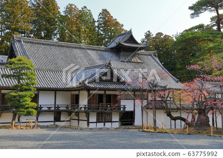 [宮城縣]瑞甘寺的倉庫和蟲ume 63775992