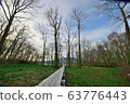 one road 63776443
