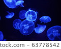 Blue jelly fish 63778542