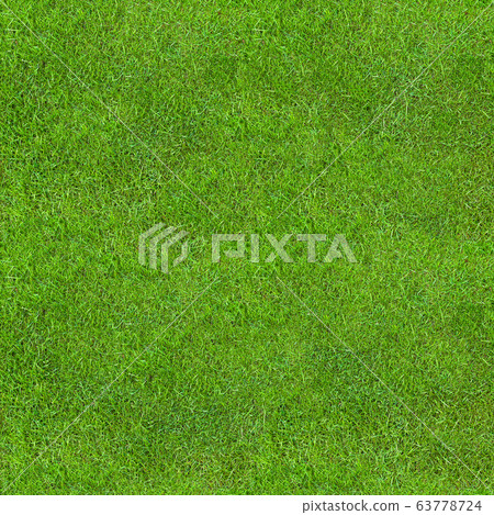 Seamless Green Lush Grass Texture 63778724