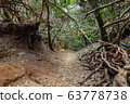 Anaga Natural Park Pathway 63778738
