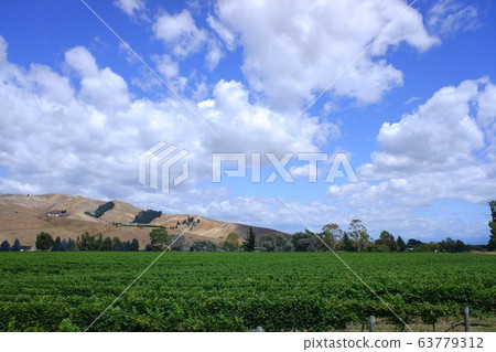 Coastal Pacific Train Coastal Pacific 63779312