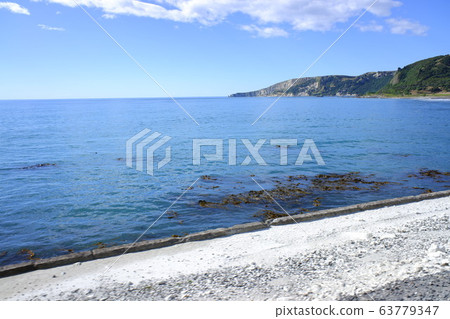 Coastal Pacific Train Coastal Pacific 63779347