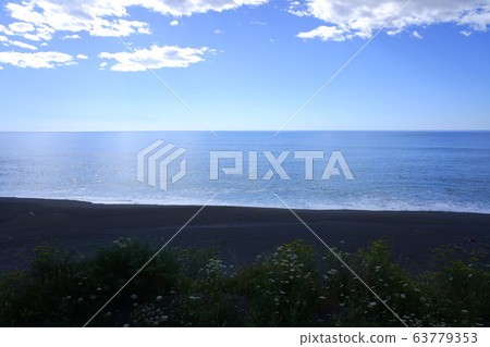 Coastal Pacific Train Coastal Pacific Coastal Pacific Train Coastal Pacific 63779353