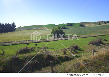 Coastal Pacific Train Coastal Pacific 63779358