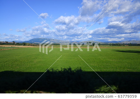 Coastal Pacific Train Coastal Pacific 63779359