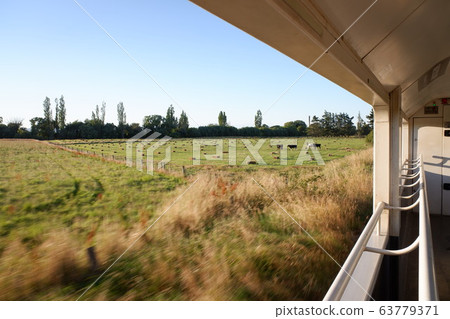 Coastal Pacific Train Coastal Pacific 63779371